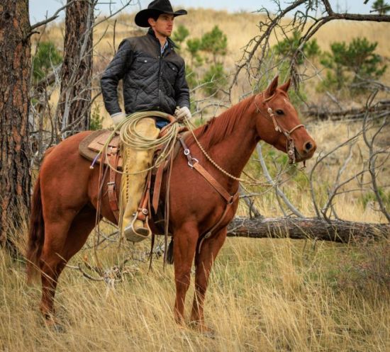 High Seller, MEETEETSE Pitchfork, 2025, 